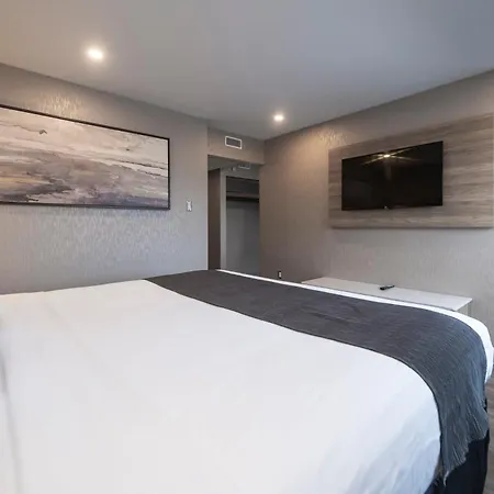Hôtel&Suites Le Dauphin Québec-3